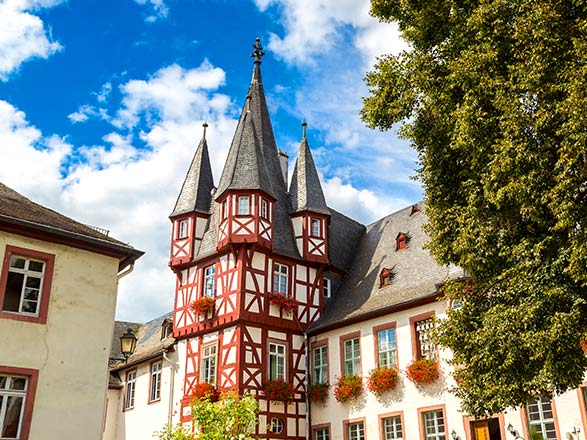 Escale Rudesheim (Allemagne)